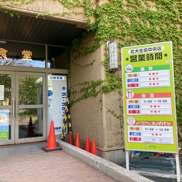 札幌景點｜北海道賞楓、賞銀杏一級戰區—北海道大學