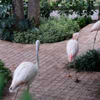 Bucolic | คาเฟ่ในเขาใหญ่ที่โอบล้อมด้วยธรรมชาติ
