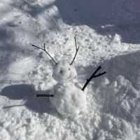 🏂 滑雪天堂：富良野滑雪場🎿