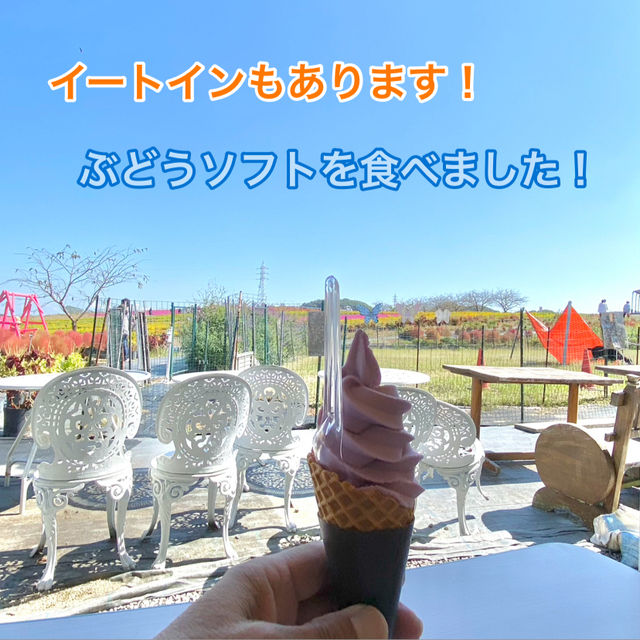 知多半島の旅　観光農園「花ひろば」