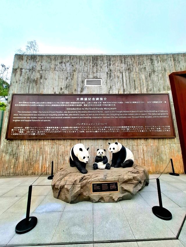 Visiting the Home of Panda!