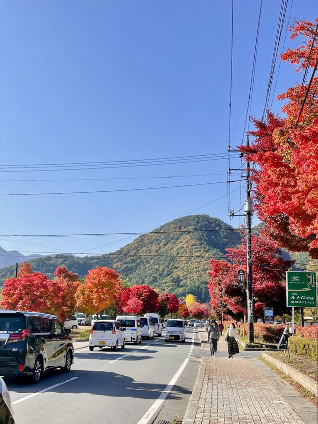 Autumn Splendor at Lake Kawaguchi