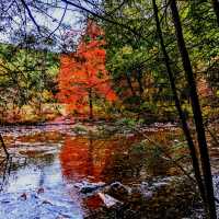 Steep Rock Preserve