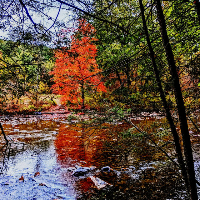 Steep Rock Preserve