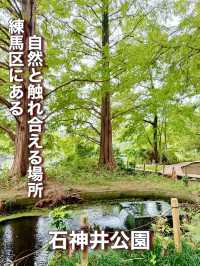 【東京都】練馬区にある自然と触れ合える場所