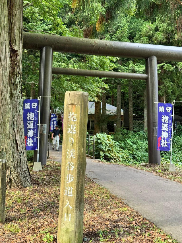 日本🇯🇵自然之美🥰抱返溪谷‼️東京出發短線3日2夜之選