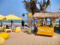 MORE THAN Beach & Cafe💛🪿