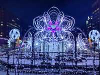 ❄️일본 홋카이도 삿포로 오도리 공원