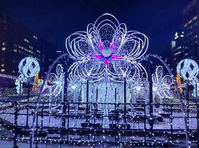 ❄️일본 홋카이도 삿포로 오도리 공원