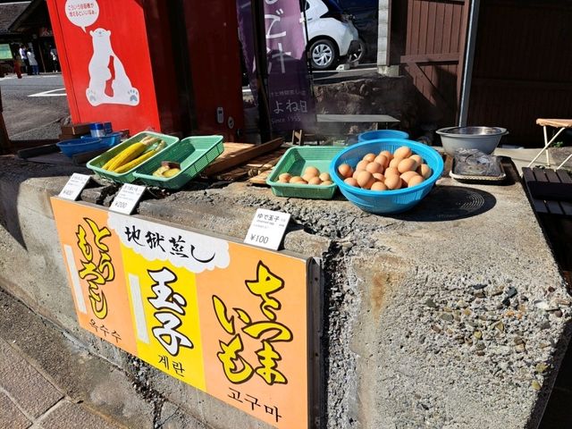 【鬼山地獄:大分県別府市】たくさんのワニがいる地獄!!