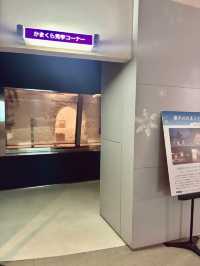 【日本東北】秋田雪洞館：夢幻般的橫手雪祭