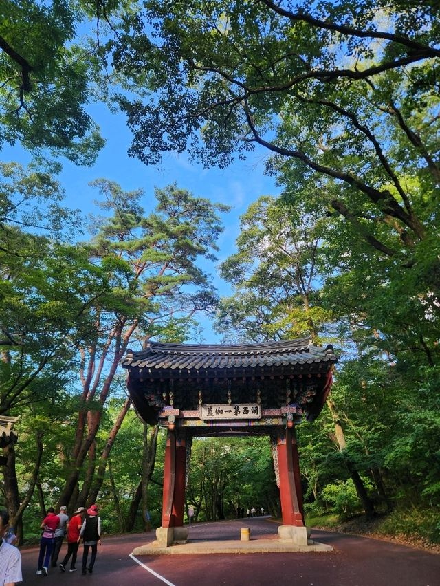💛산책과 함께 가을여행하기 좋은, "충북 보은 법주사"💛