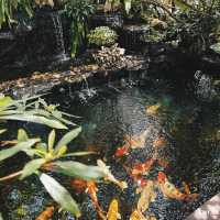 #อสงไขยคาเฟ่ #คาเฟ่ระยอง #คาเฟ่บ้านเพ 