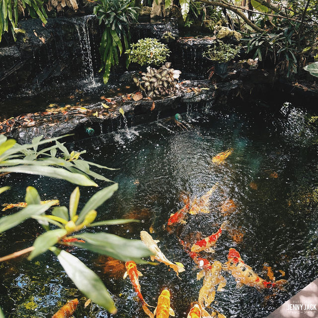 #อสงไขยคาเฟ่ #คาเฟ่ระยอง #คาเฟ่บ้านเพ 