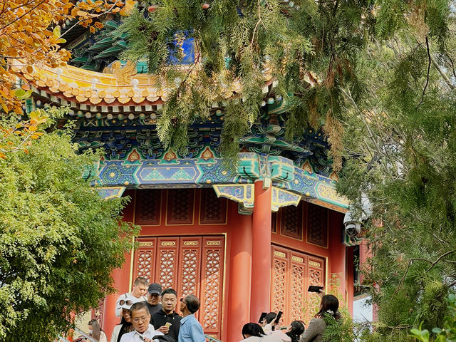 Forbidden city 