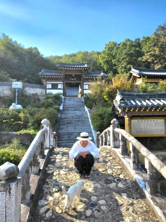 가을낭만 즐기기 딱인 성주 한옥카페