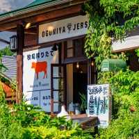 【熊本】ジャージ牛乳を使ったアイス屋さん！