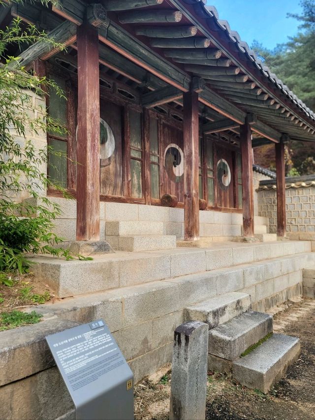 가을에 꼭 가봐야할 안동의 대표적인 문화유산🤎