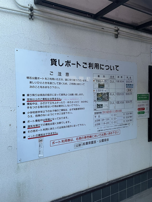 兵庫　18歳以下の子どもがいたら割引！✨明石公園のボート