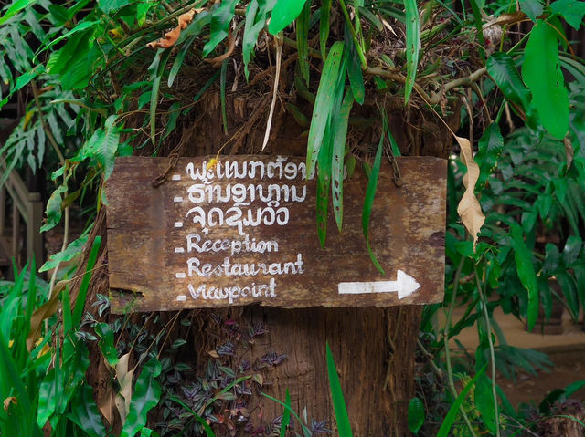 เที่ยวน้ำตก โหนZip Line  ที่ตาดฟาน