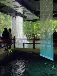 神秘の水族アート🎨！神戸の新感覚アクアリウムで遊んじゃおう〜