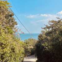 Barefoot Bliss at Yeosu's Bonghwasan