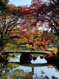 景點推薦：六義園——秋日東京的庭園秘境