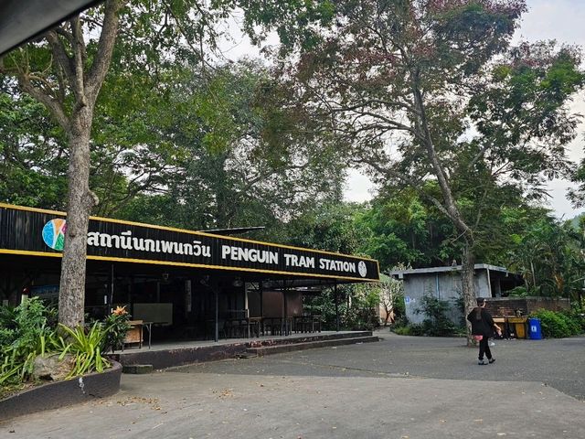 ผจญภัยในโลกของสัตว์ป่าแบบใกล้ชิด 🐾🌳✨