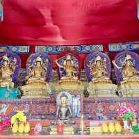 Central Wisdom: Serenity Unveiled