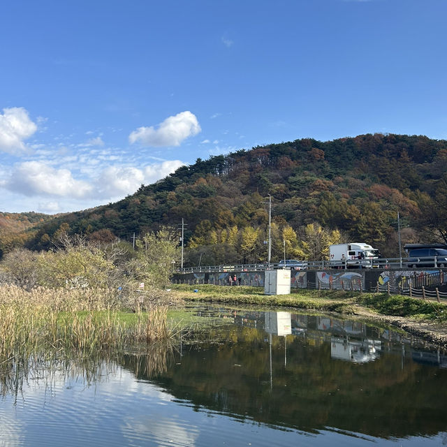 맑은 날씨에 더욱 추천하는 충북 괴산 문광저수지 🫧