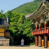 Discovering the Serenity of Beomeosa Temple