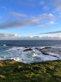 Phillip Island: Wildlife Wonders and Coastal Beauty