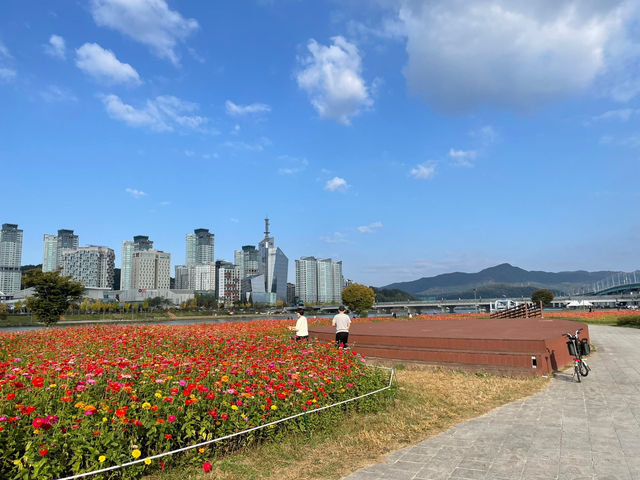 가을엔 꽃이 만개한 대전으로