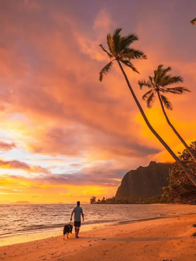 5 Reasons Why Watching a Sunset in Hawaii Should Be on Your Bucket List