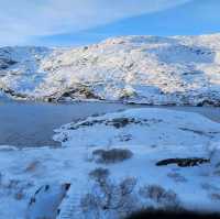 Bergen to oslo trip by train