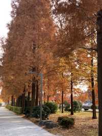정말 좋았던 가을 단풍놀이🍂🍁