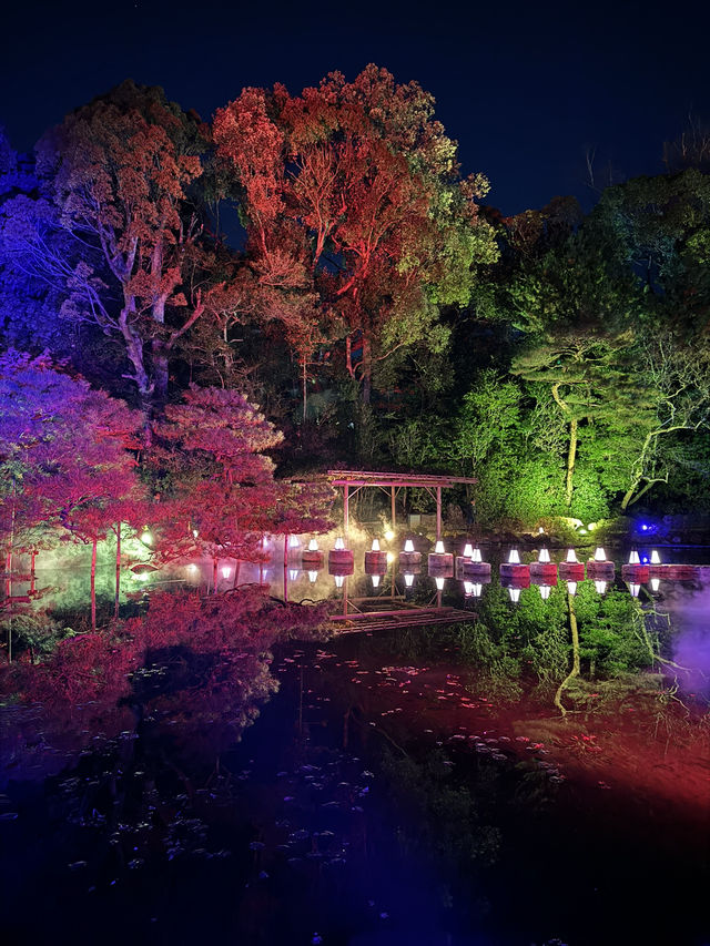 〜京都府〜年末年始ここ行って！NAKED・光の神苑 平安神宮⛩️