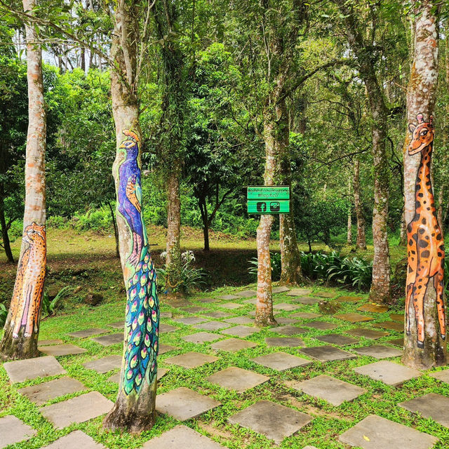 Tranquil Escape to Gaharu Tea Valley in Gopeng