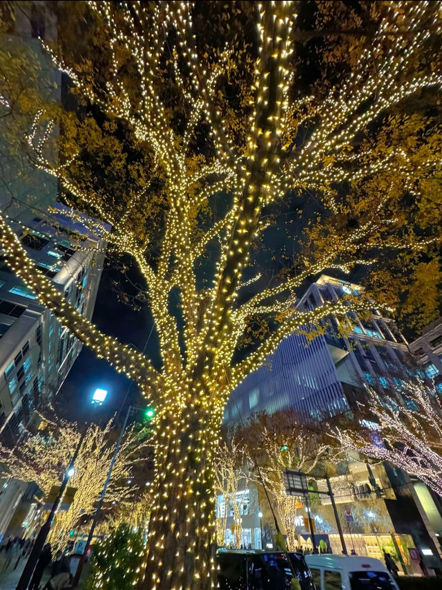 東京旅行はここがおすすめ🤍クリスマスまであと1週間🫣🎄イルミネーション行くならここ行って🫶✨【東京・表参道】