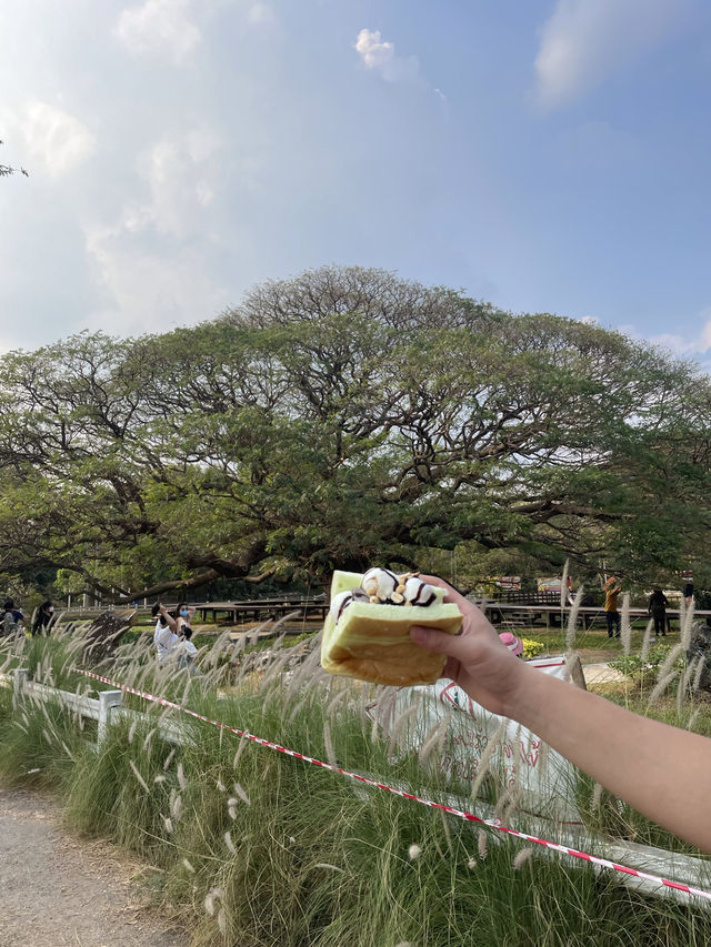 Remember to Wear Sunscreen and Comfy Clothing in Kanchanaburi as You’ll Always be Outdoors!