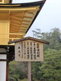Golden Radiance in the Rain: Kinkaku-ji’s Timeless Beauty