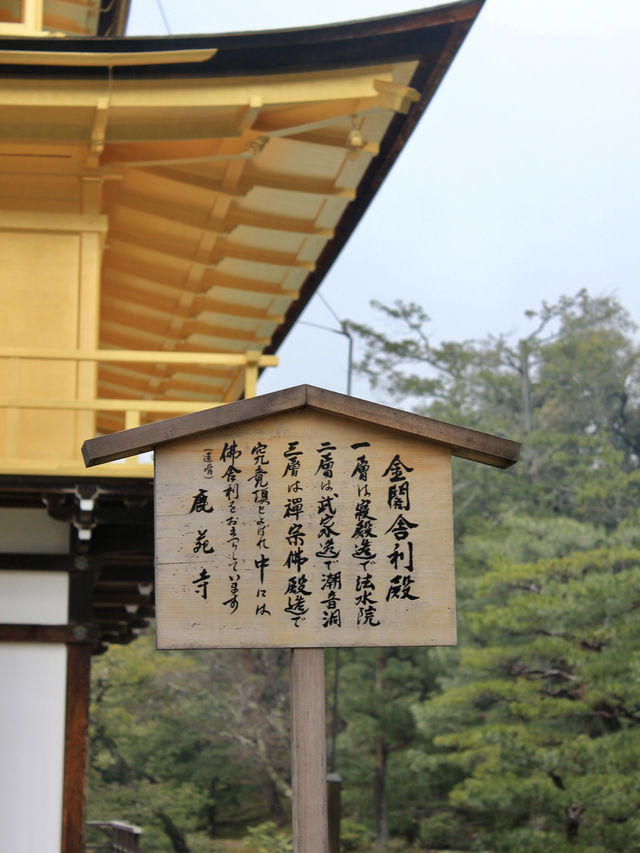 Golden Radiance in the Rain: Kinkaku-ji’s Timeless Beauty