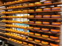 🇳🇱When in Amsterdam You Have to Have Cheese🇳🇱