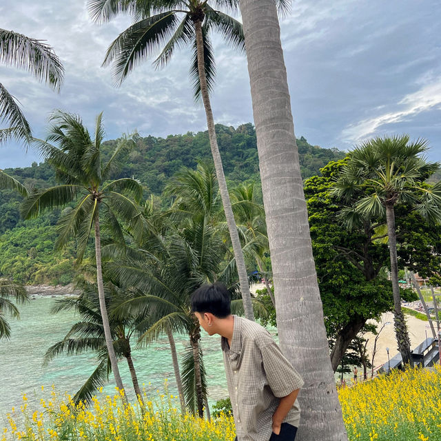 ดอกปอเทือง