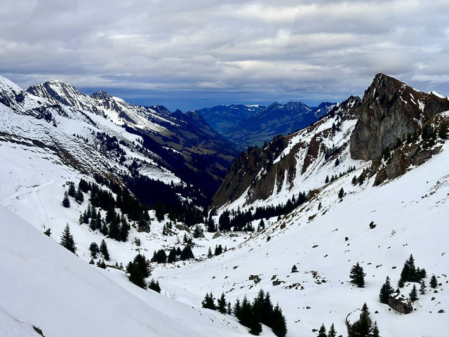 Reach New Heights Hiking Rochers-de-Naye in Montreux, Switzerland