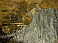 Flaring Rock Forest [Moshi Park in Autumn]