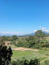Huanam Mushroom Farm