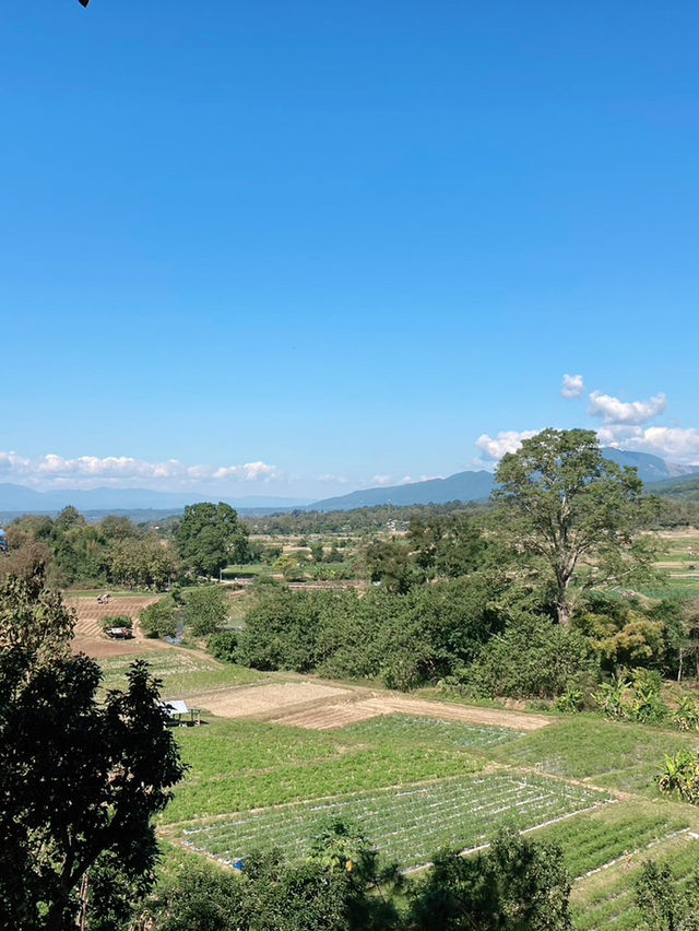 Huanam Mushroom Farm
