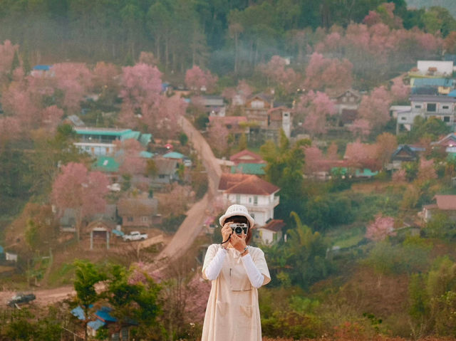 บ้านร่องกล้า…หมู่บ้านสีชมพูท่ามกลางม่านหมอก