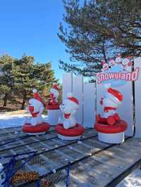 입장권 하나로 하루종일 즐기는 눈마을☃️